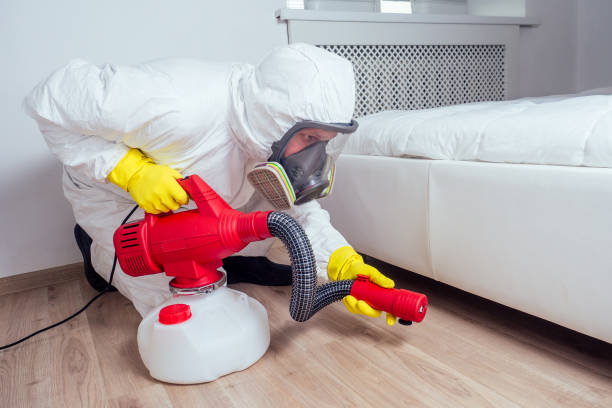 Best Fumigation Services  in Cupertino, CA